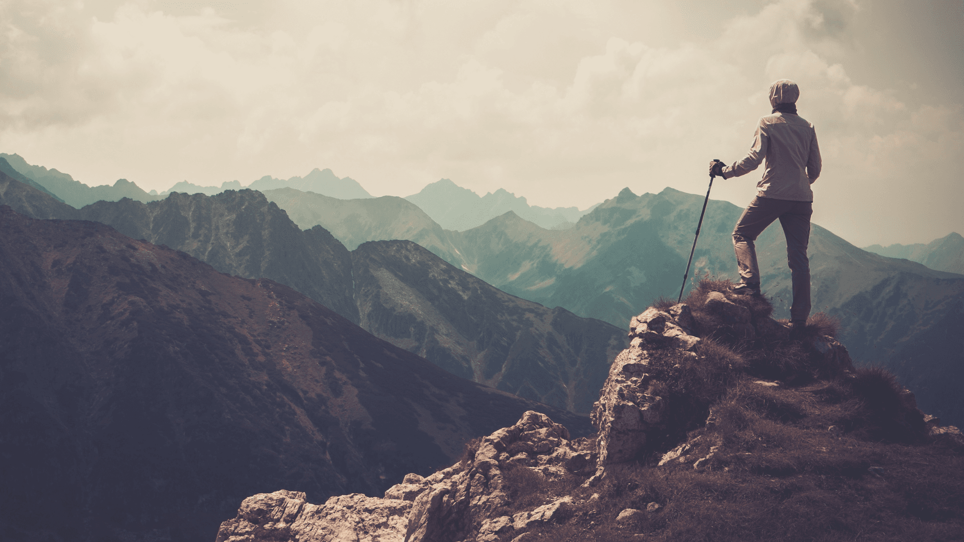 ff477cda-2db3-47f0-84c6-f7fa54027144